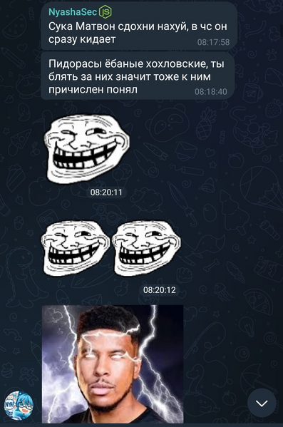 Файл:Личка в t.me-overfriends с овером.png