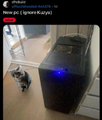 кот кузя и новый пк[11]