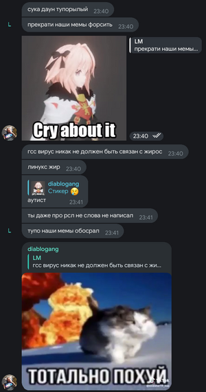 Представитель RCL пишет DiabloSat в чат тгк 2.png