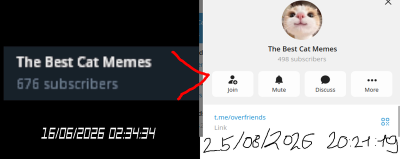 Файл:Статистика OverFriends.png