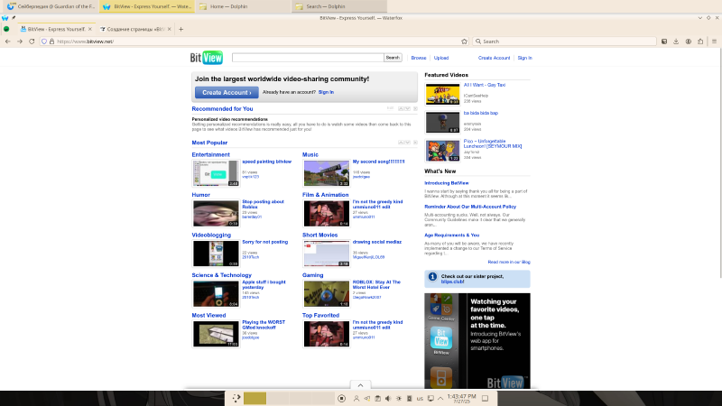 Файл:BitViewScreenshot.png