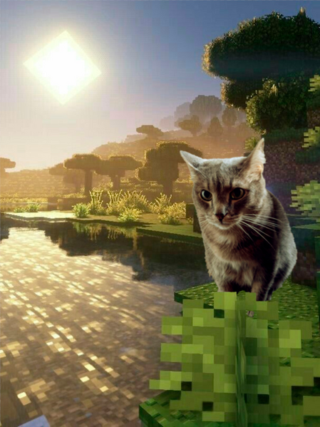 Файл:Кот кузя в мире майнкрафта.png